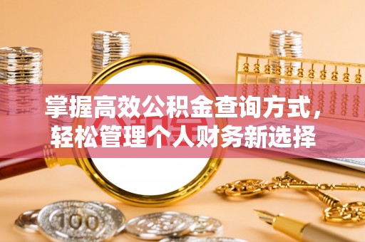 万宁掌握高效公积金查询方式，轻松管理个人财务新选择