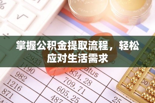万宁掌握公积金提取流程，轻松应对生活需求