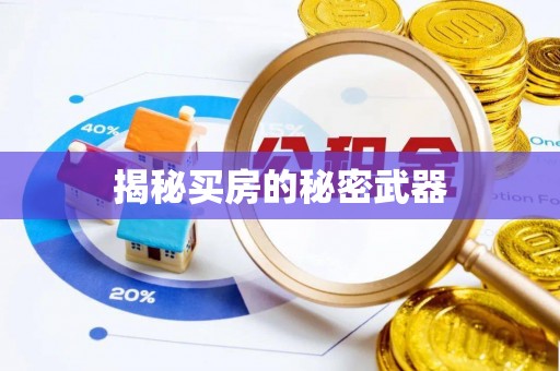 万宁揭秘买房的秘密武器