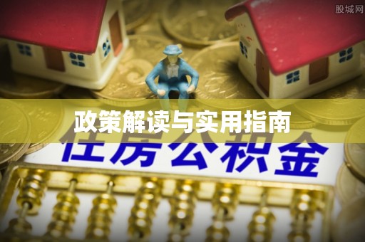 万宁政策解读与实用指南