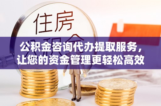 万宁公积金咨询代办提取服务，让您的资金管理更轻松高效
