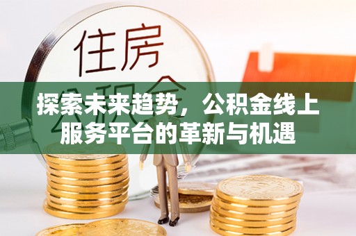 万宁探索未来趋势，公积金线上服务平台的革新与机遇