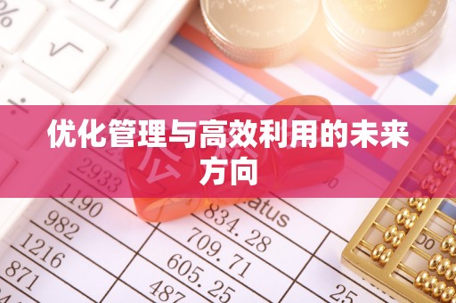 万宁优化管理与高效利用的未来方向